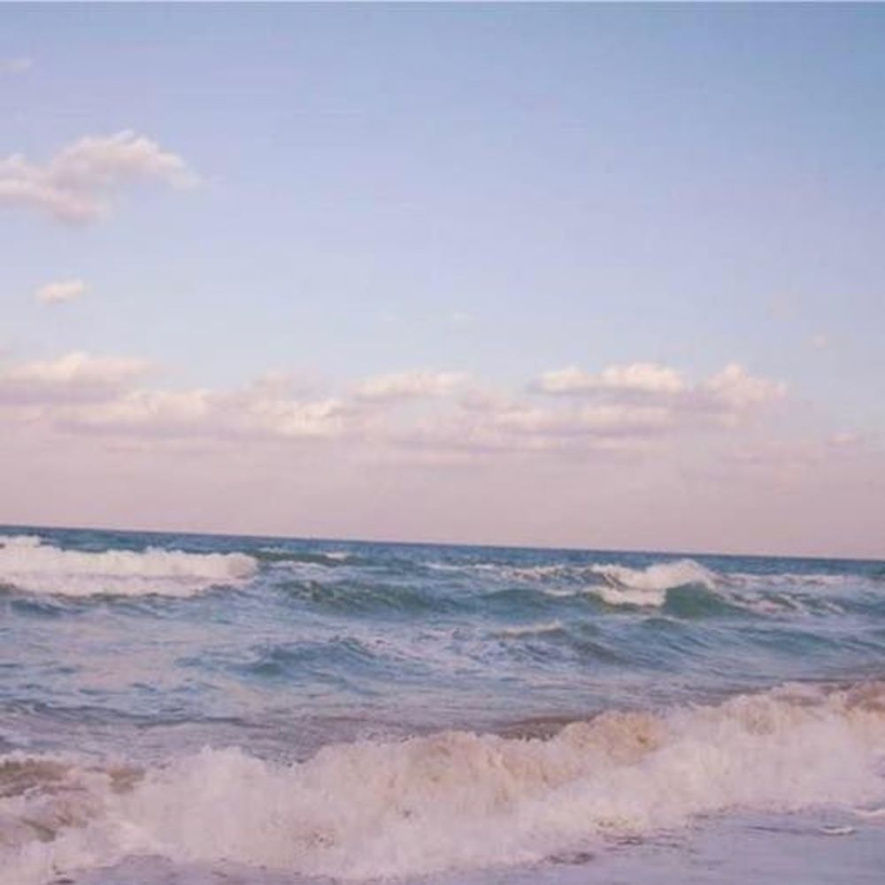 Meet your Posher, Madalyn